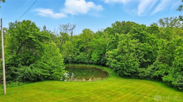 4600 Brown Rd, Sugarcreek Township, OH 45440 - view of green lawn featuring a water view