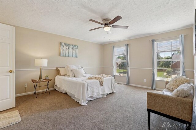 135 Cold Springs Ct, Springboro, OH 45066 - photo 19