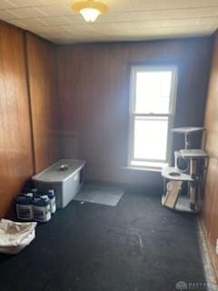 spare room with wood walls and carpet flooring
