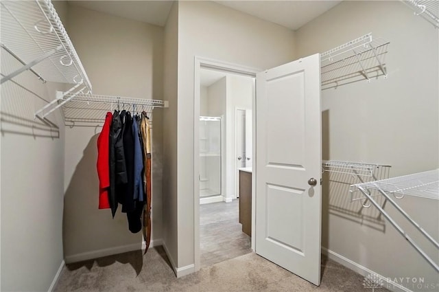 1110 Billingsley Dr, Batavia, OH 45103 - walk in closet with carpet floors