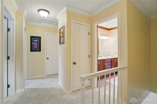 1458 Westwicke Pl, Washington Twp, OH 45459 - hall with crown molding, baseboards, light colored carpet, and a sink