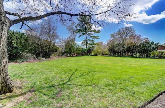 1458 Westwicke Pl, Washington Twp, OH 45459 - view of yard