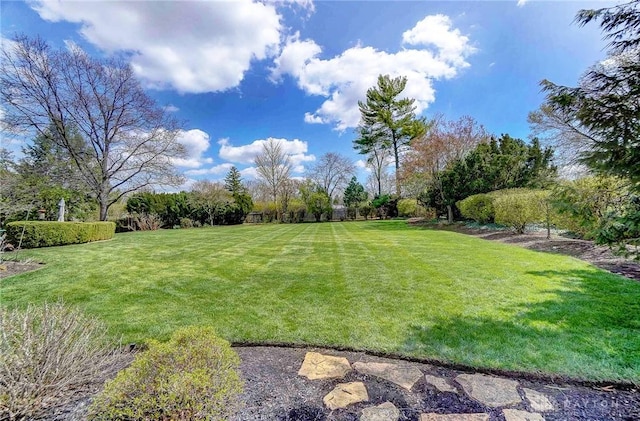 1458 Westwicke Pl, Washington Twp, OH 45459 - view of yard