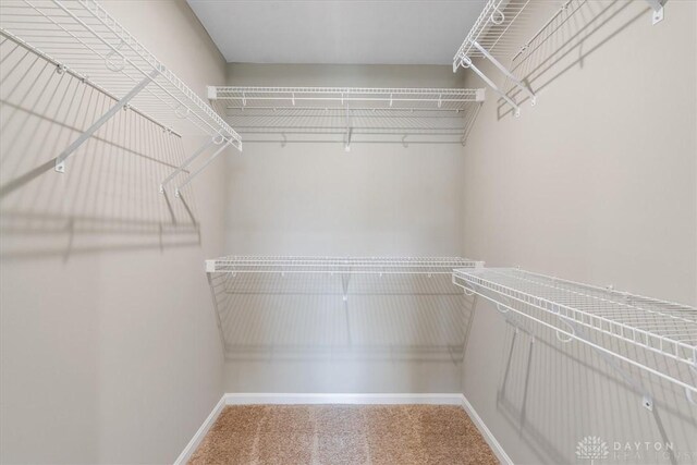 1226 Heathgate Way, Fairborn, OH 45324 - walk in closet with carpet flooring