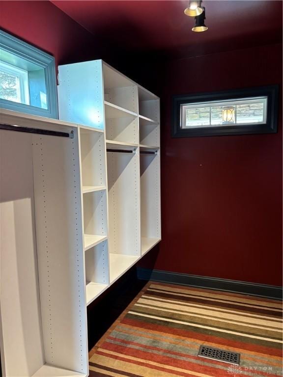 spacious closet with visible vents