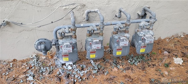 exterior details featuring gas meter