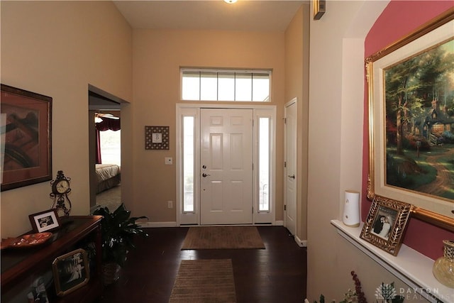 foyer entrance featuring dark wood finished floors, plenty of natural light, and baseboards