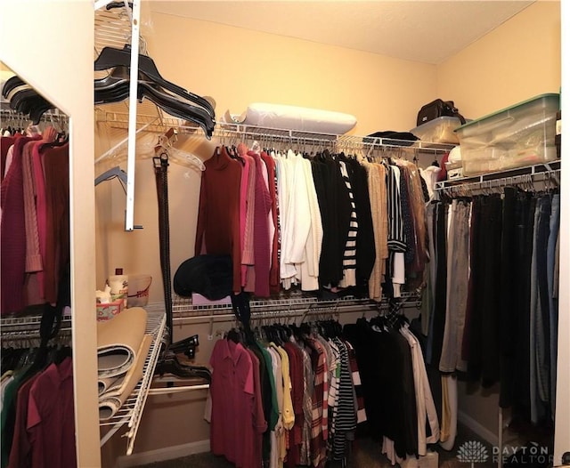 view of walk in closet