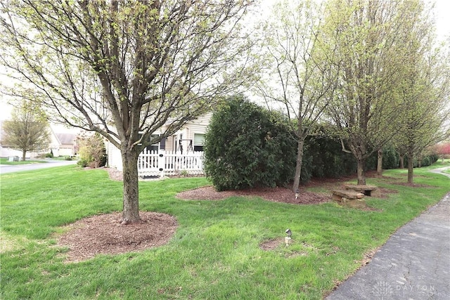 view of yard
