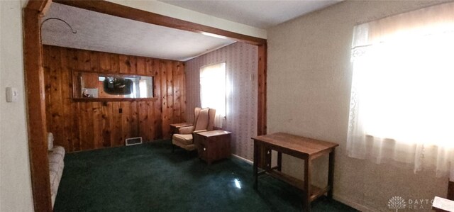 305 S Ada Doty St, Gratis, OH 45330 - sitting room with wood walls and carpet floors