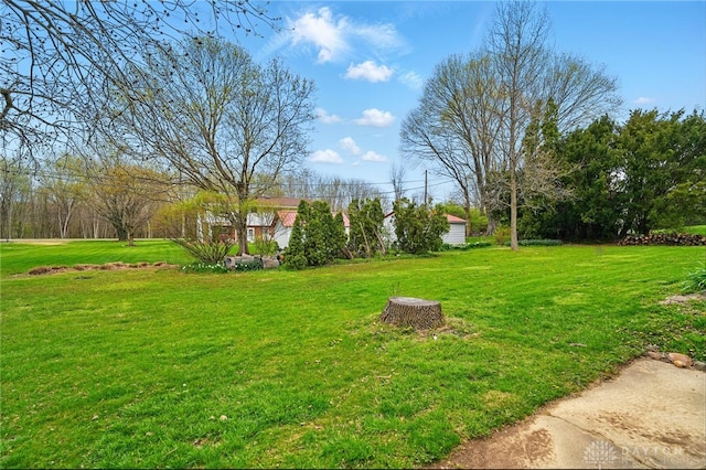 view of yard