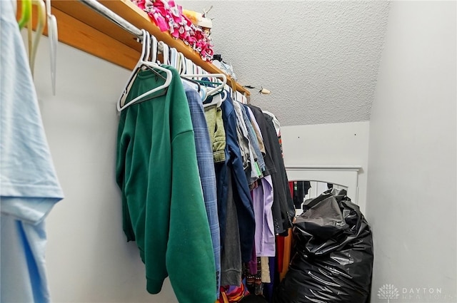 walk in closet with vaulted ceiling