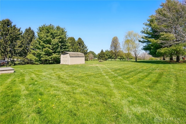 view of yard featuring a storage unit and an outbuilding