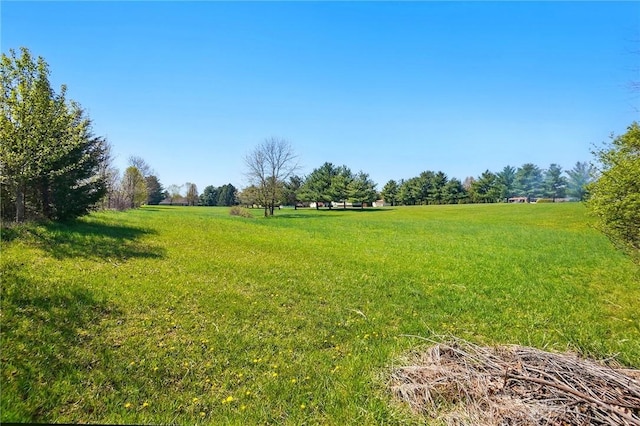 view of yard featuring a rural view