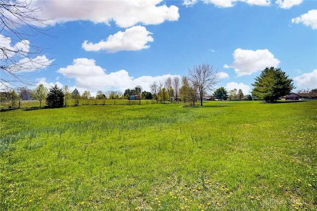 view of nature with a rural view