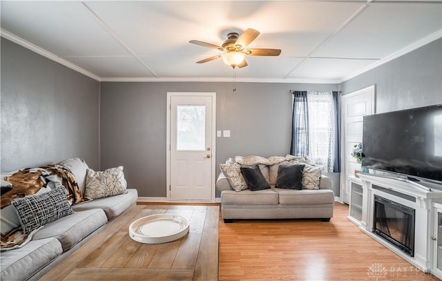 living area with crown molding, a glass covered fireplace, light wood-type flooring, ceiling fan, and baseboards