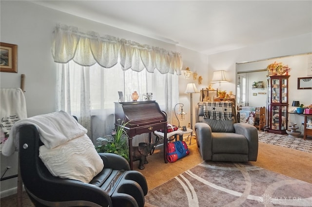 living area with carpet