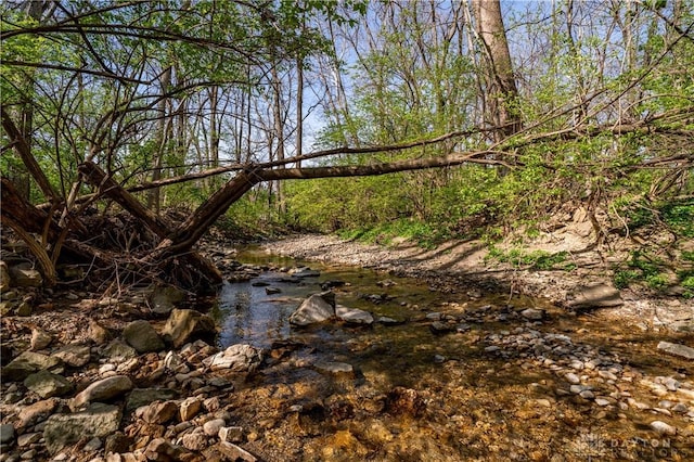 6475 Landsend Ct, Butler Township, OH 45414 - view of local wilderness