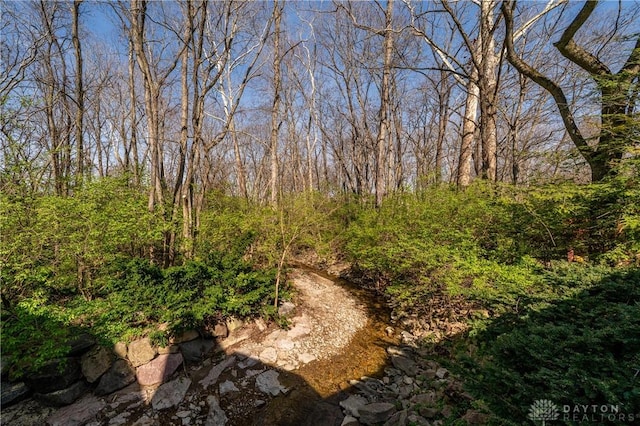 6475 Landsend Ct, Butler Township, OH 45414 - view of nature