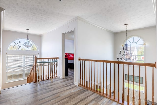 3513 Black Squirrel Way, Springboro, OH 45005 - hall with a chandelier, wood finished floors, crown molding, a textured ceiling, and an upstairs landing