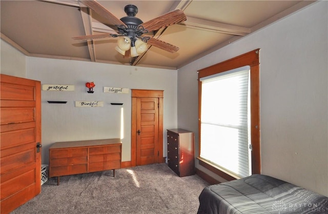 339 E 3rd St, Greenville, OH 45331 - photo 12