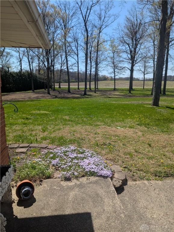 2848 Hollansburg Sampson Rd, New Madison, OH 45346 - photo 53