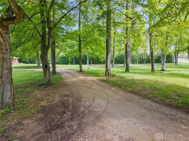 2848 Hollansburg Sampson Rd, New Madison, OH 45346 - surrounding community with dirt driveway and a lawn