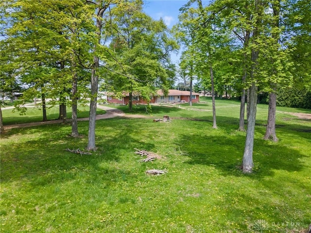 2848 Hollansburg Sampson Rd, New Madison, OH 45346 - view of grassy yard