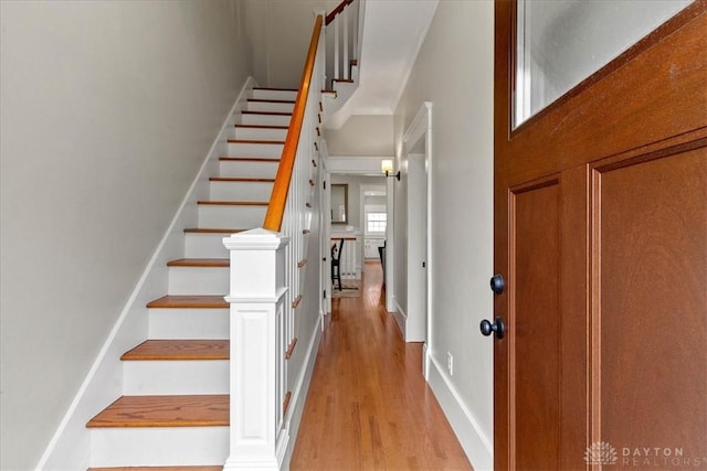 203 W Plum St, Saint Paris, OH 43072 - foyer entrance with light wood-type flooring, stairway, and baseboards