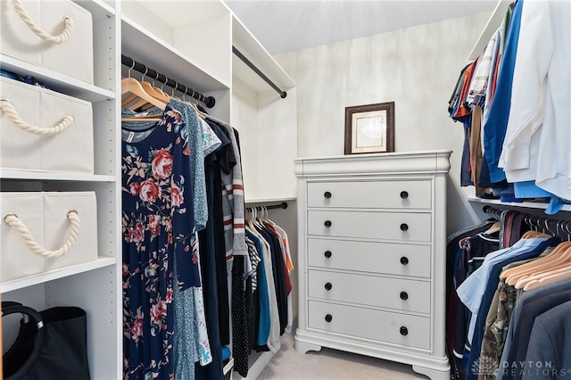 spacious closet with carpet