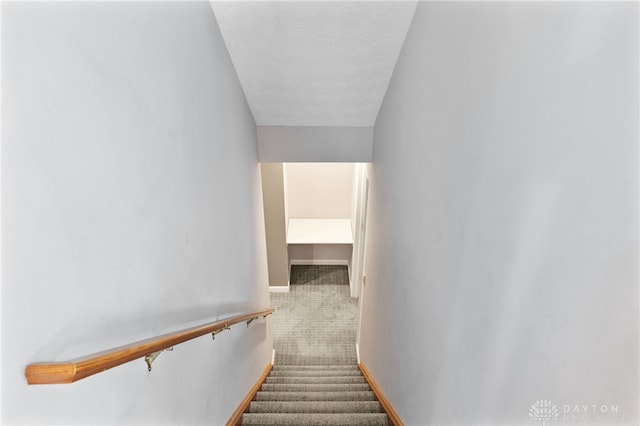 stairs featuring baseboards and carpet floors