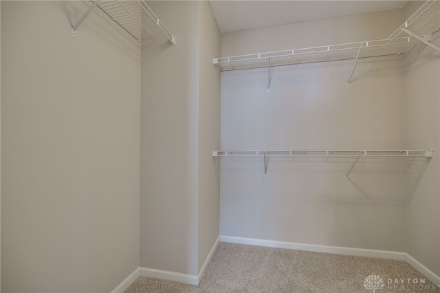 walk in closet with carpet floors