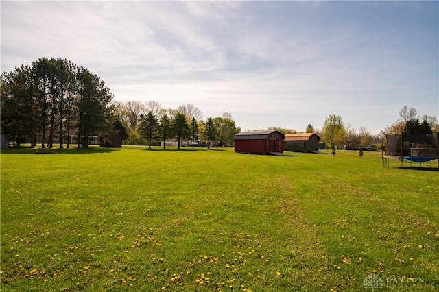 4100 Joshane St, Springfield, OH 45502 - view of yard with an outdoor structure, a storage shed, and a trampoline