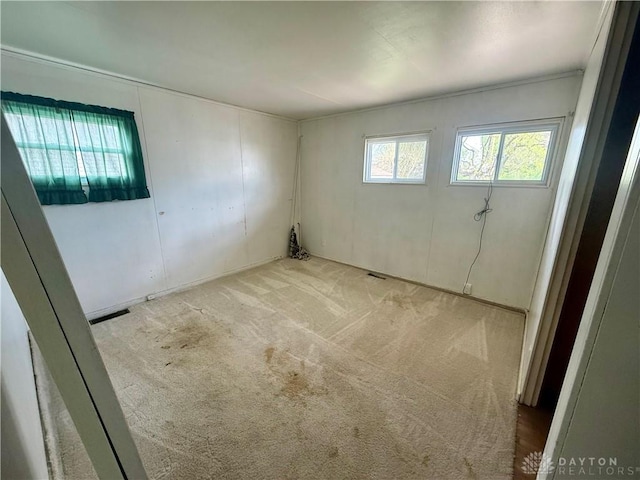 spare room featuring light carpet