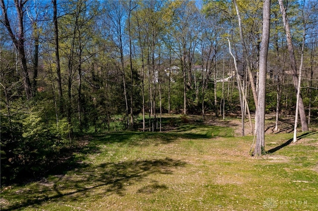 9171 Big Oak Dr, Washington Twp, OH 45458 - view of green lawn featuring a forest view