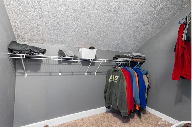 714 E Pearl St, Miamisburg, OH 45342 - walk in closet featuring carpet floors and vaulted ceiling