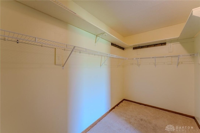 walk in closet featuring light carpet
