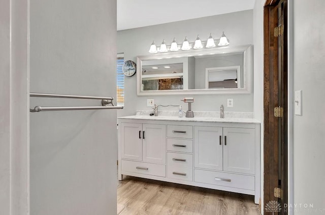 bathroom featuring wood finished floors, double vanity, and a sink