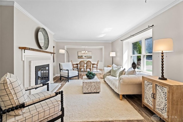 living room featuring ornamental molding, a chandelier, wood finished floors, and a glass covered fireplace