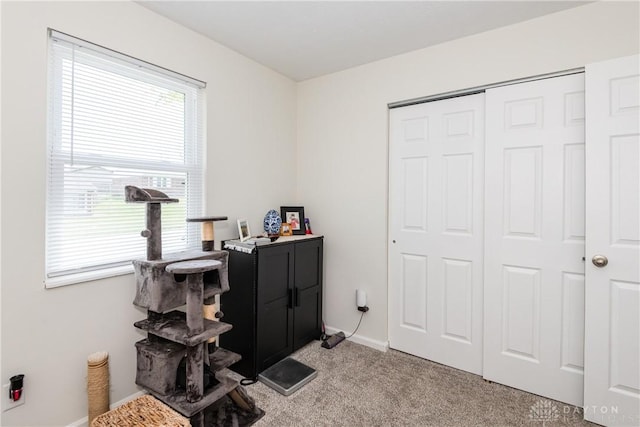 carpeted home office with baseboards