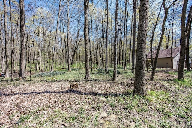 view of nature with a forest view