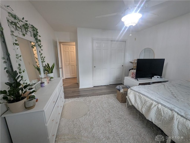 bedroom featuring a closet, ceiling fan, and wood finished floors