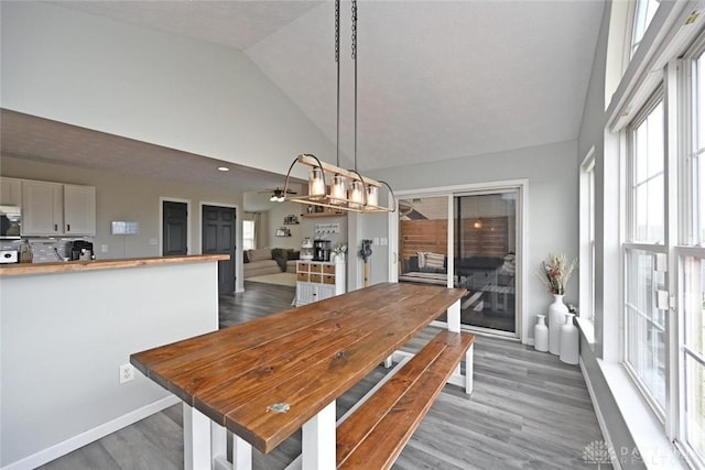 171 Pleasant Hill Blvd, Franklin, OH 45005 - dining space featuring plenty of natural light, baseboards, wood finished floors, and vaulted ceiling