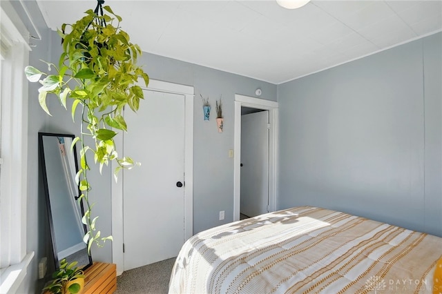 1708 Patterson Rd, Dayton, OH 45420 - bedroom featuring carpet flooring