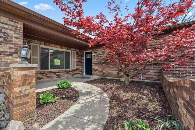 doorway to property featuring covered porch and brick siding