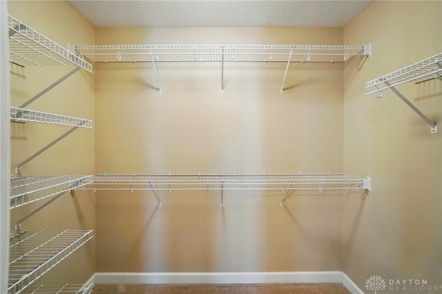 view of walk in closet