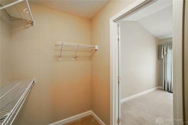 spacious closet with carpet floors