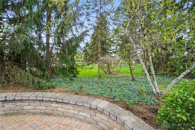 5017 Ackerman Blvd, Kettering, OH 45429 - view of yard