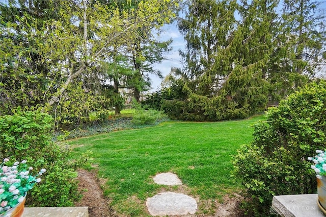 5017 Ackerman Blvd, Kettering, OH 45429 - view of green lawn