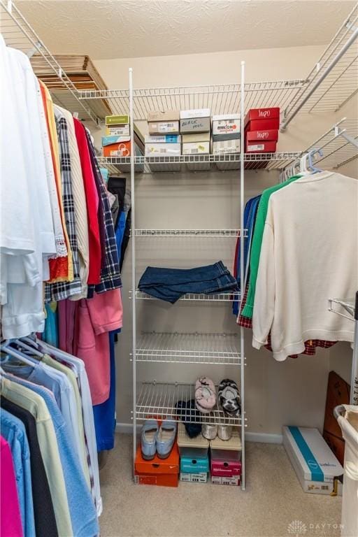 1823 Park Ave, Piqua, OH 45356 - spacious closet with carpet flooring